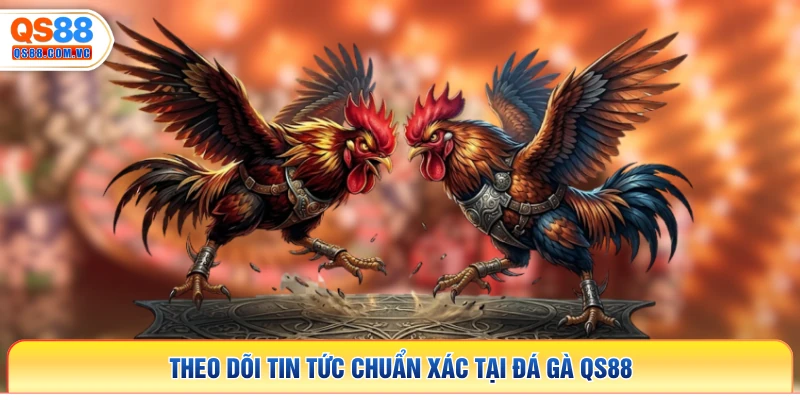 Theo dõi tin tức chuẩn xác tại đá gà QS88